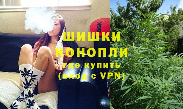 винт Алексин