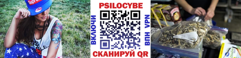 где продают наркотики  shop наркотические препараты  Галлюциногенные грибы GOLDEN TEACHER  Бердск 