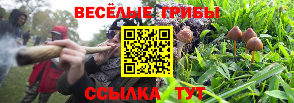 Псилоцибиновые грибы Magic Shrooms  купить наркоту  Бердск  Вход с VPN 