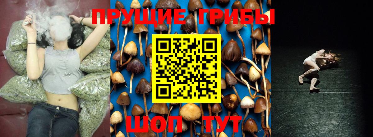 Псилоцибиновые грибы мицелий Бердск
