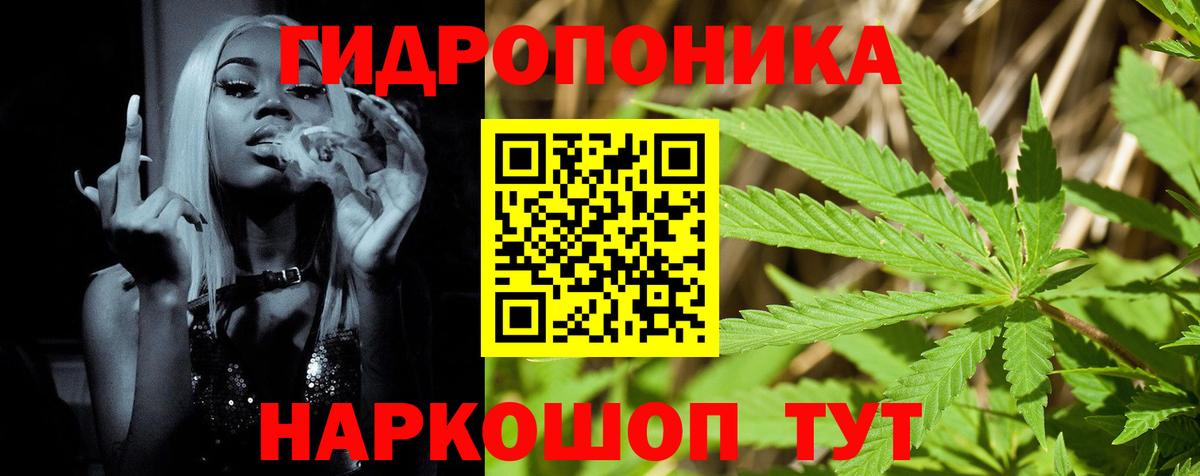 МАРИХУАНА THC 21%  Бошки марихуана планчик  Вход с VPN  Шишки марихуана OG Kush  Каннабис конопля  Бердск 